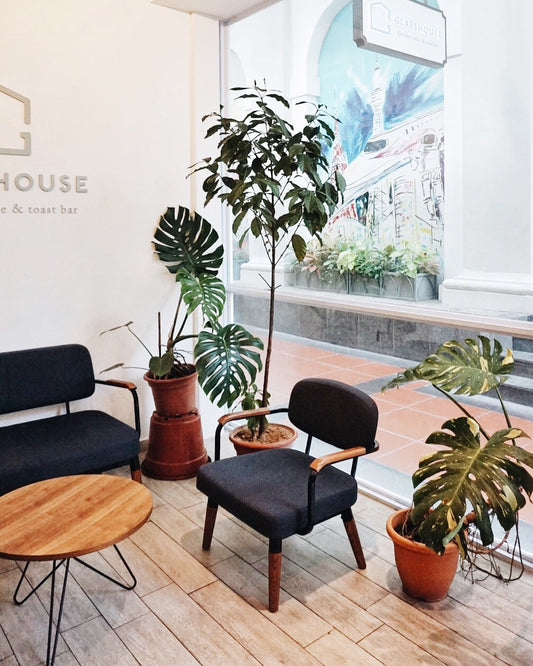 Newsletter: Isolation Edition - Singapore Memories