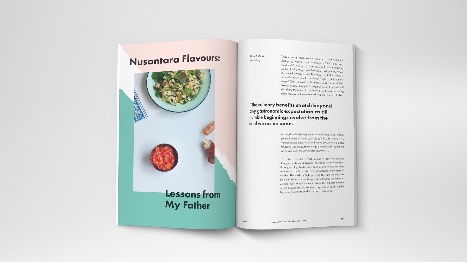 A travel magazine about Malaysia and Indonesia story. Featuring a journey from Kuala Lumpur, Pangkor Island, Kuala Terengganu, Behrang, Kota Kinabalu, Yogyakarta and Jakarta. A Story about Nasi Ulam.