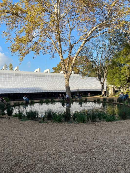Breathing with the City: Discovering CAM Lisbon