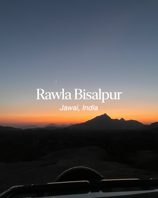 Rawla Bisalpur: Rajasthan’s Hidden Royal Retreat